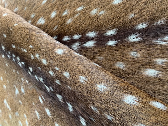 AXIS DEER SKINS